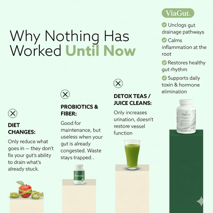 ViaGut — Maximum-Potency Digestive Drainage Complex by Nerava Labs™