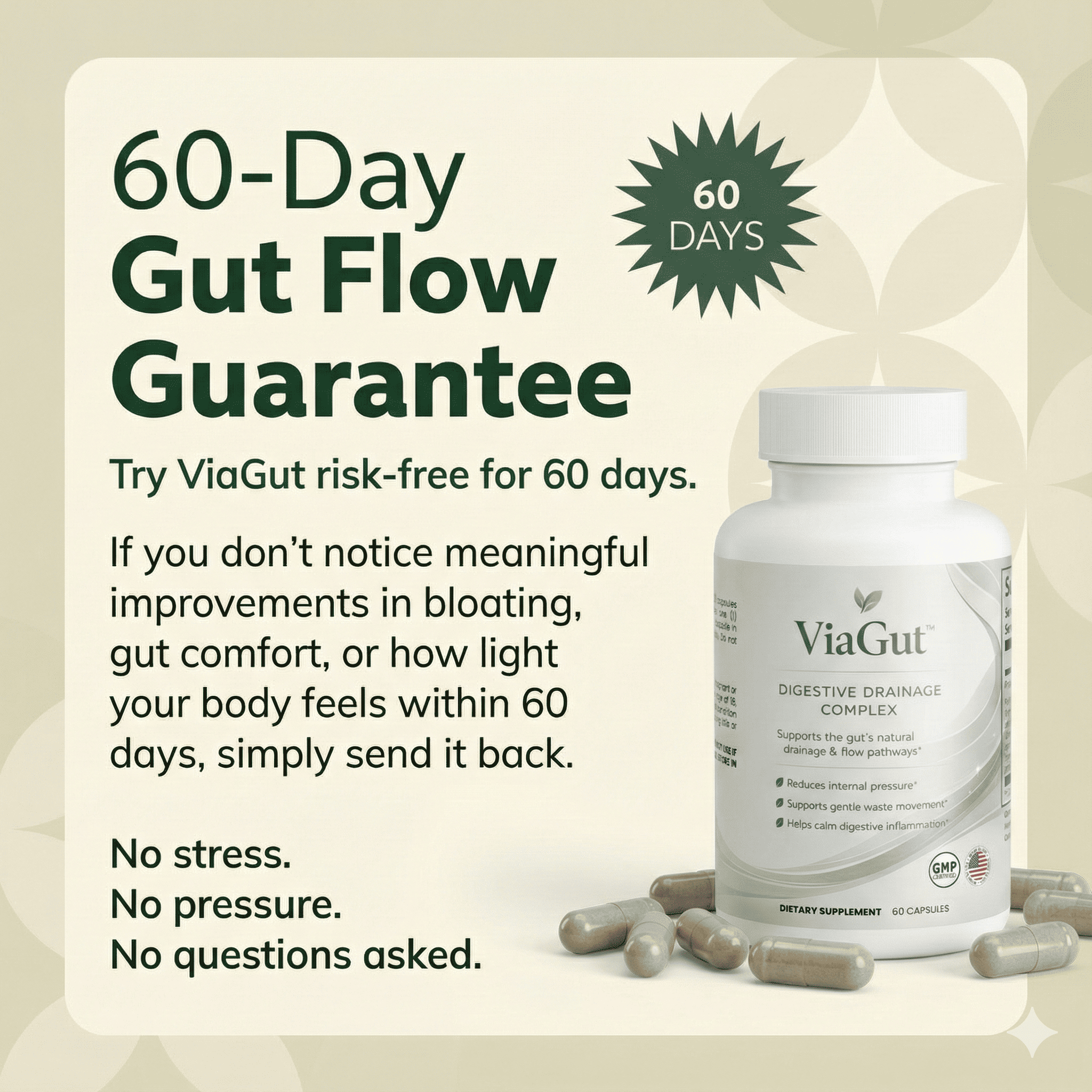 ViaGut — Maximum-Potency Digestive Drainage Complex by Nerava Labs™