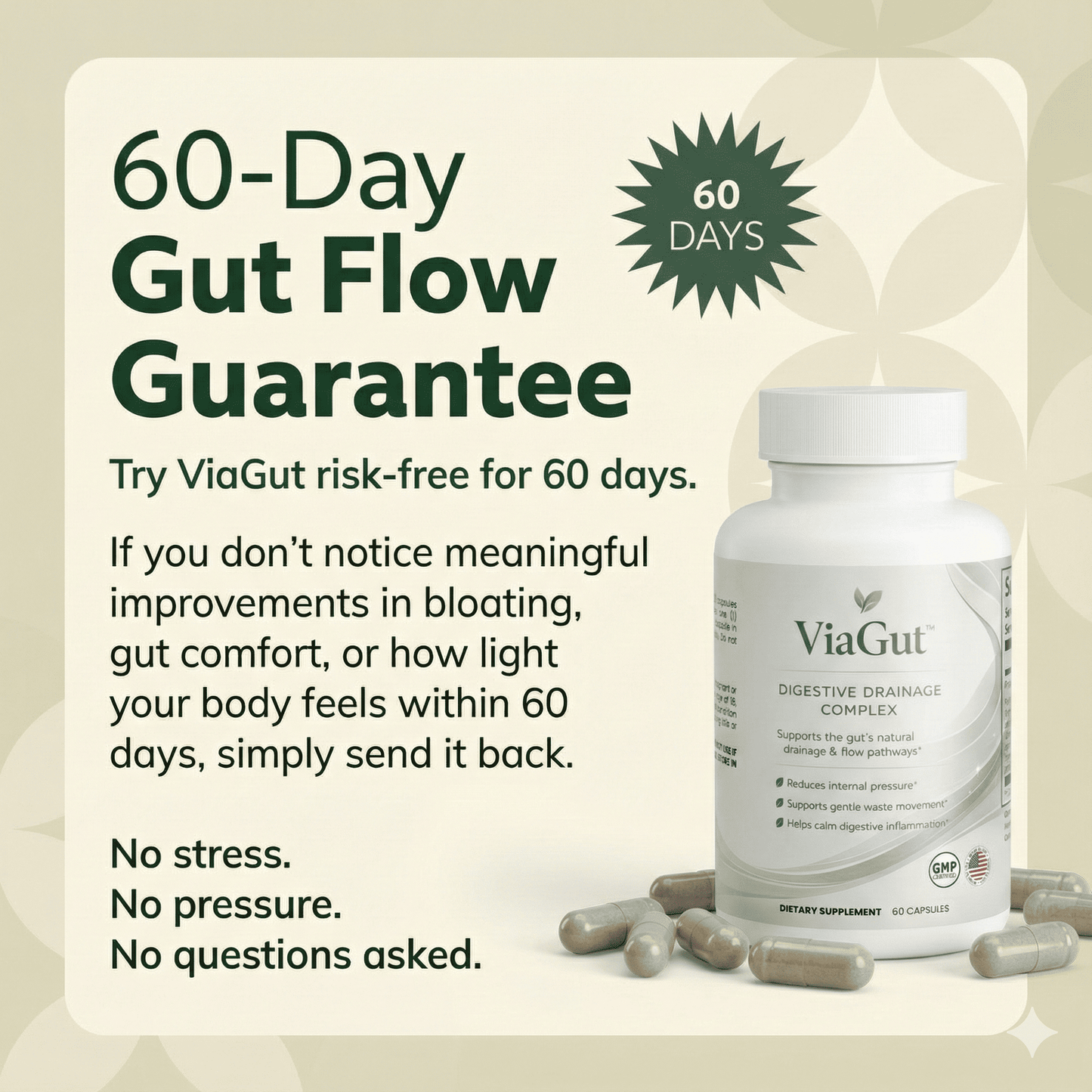 ViaGut — Maximum-Potency Digestive Drainage Complex by Nerava Labs™